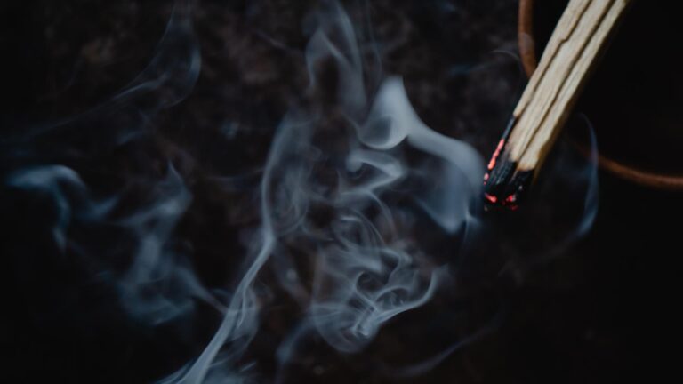 Para qué sirve el Palo Santo